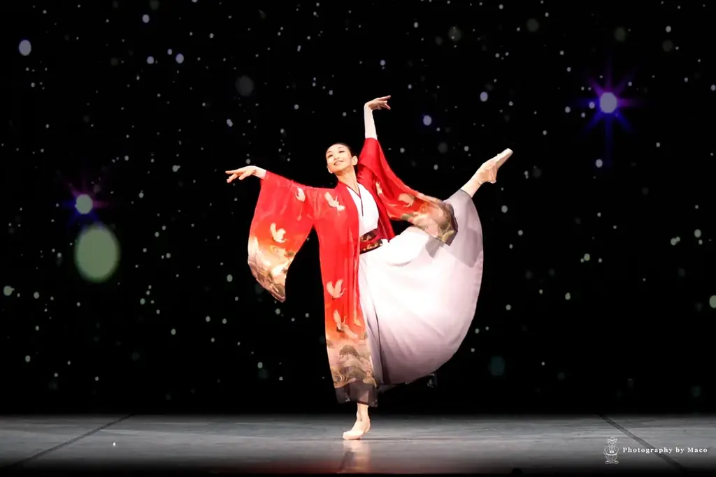 クラッシックバレエ初めての方にもおすすめ！万博オープニングや海外でも上演したオリジナル作品『鶴の恩返し』や「白鳥の湖」などの名場面を中心に構成　針山愛美プロデュース公演『One heart』上演決定 画像 5