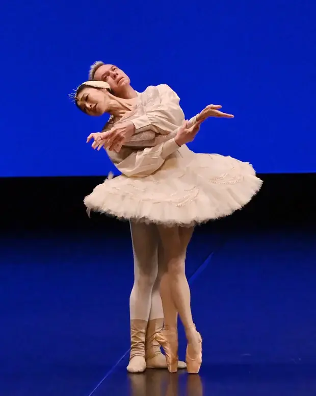 クラッシックバレエ初めての方にもおすすめ！万博オープニングや海外でも上演したオリジナル作品『鶴の恩返し』や「白鳥の湖」などの名場面を中心に構成　針山愛美プロデュース公演『One heart』上演決定 画像 6