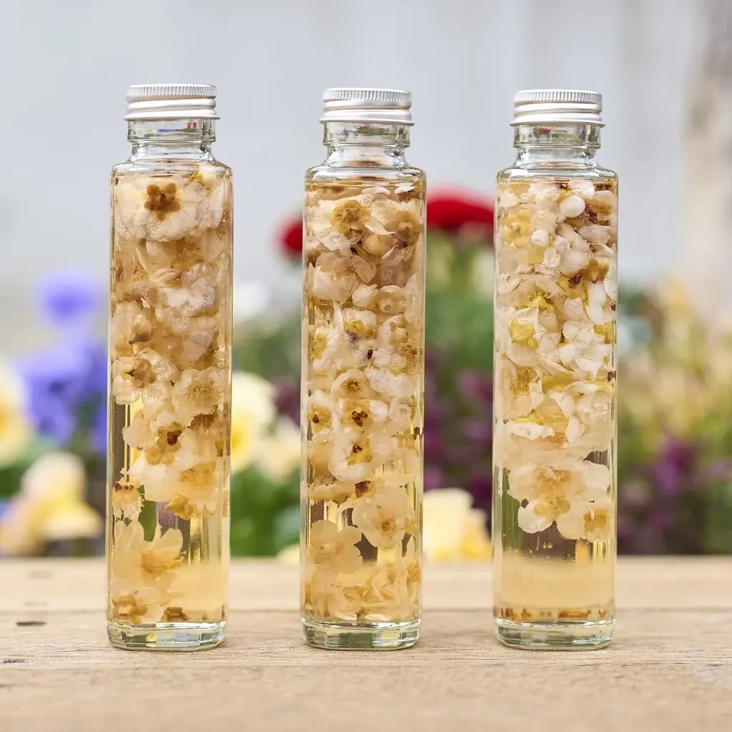 梅が香る森の中で、ひと足早い春を満喫！「RESOL no MORI 梅まつり」2月21日より開催 画像 12