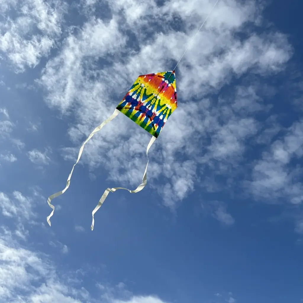 梅が香る森の中で、ひと足早い春を満喫！「RESOL no MORI 梅まつり」2月21日より開催 画像 7