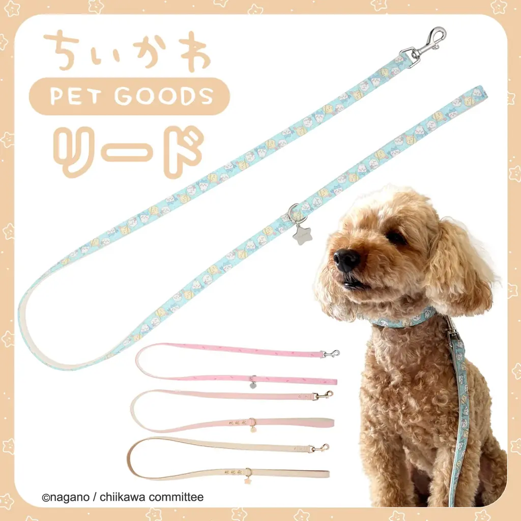 毎日のお散歩がもっと楽しくなる♪『ちいかわ』デザインのペットアイテムが新登場！粧美堂オンラインストアにて、小型犬用「リード・首輪」発売 画像 2