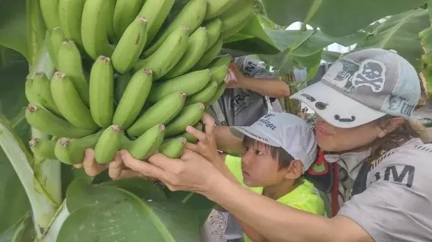 オープンたかつき新春企画