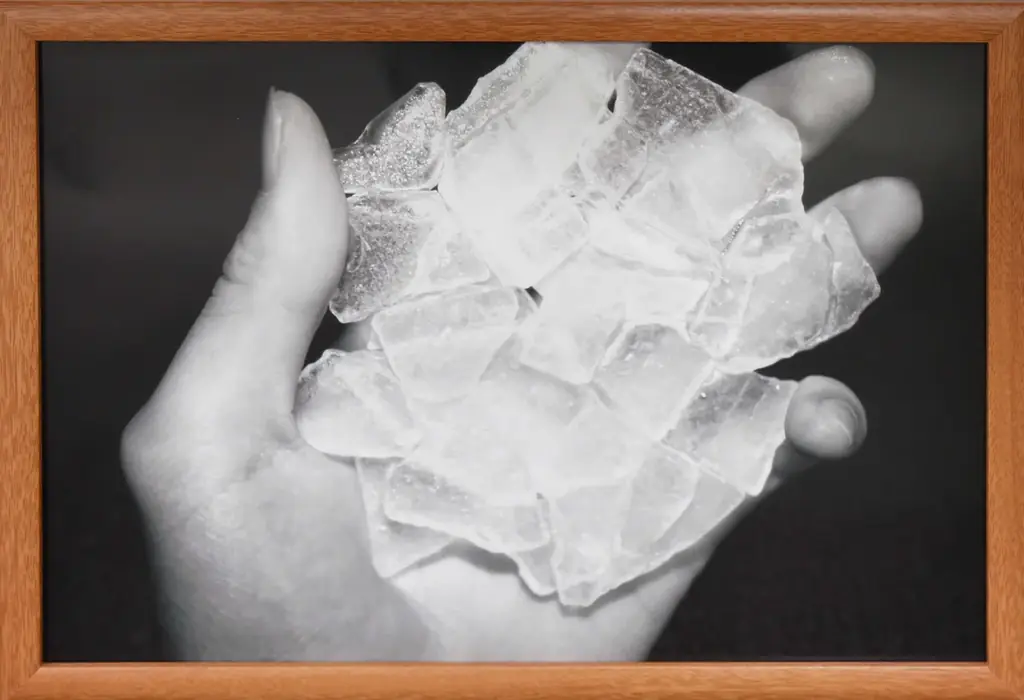 1月27日開幕｜第34回川西市展 入選作品と特別賞