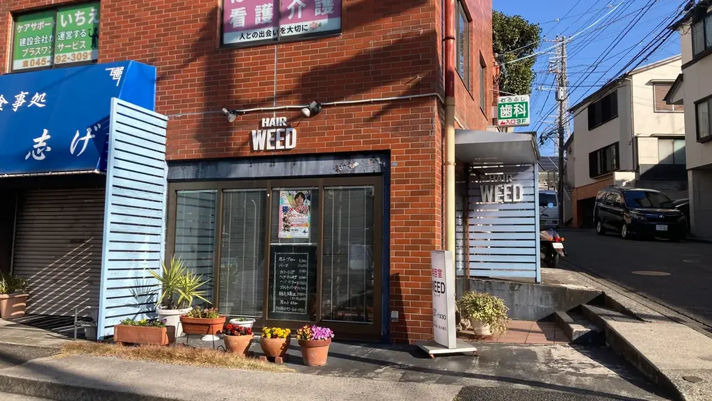 289年経ってようやく音頭ができた?!猫おどり発祥の地と言い切りたい。けど、とりあえず第1回「横浜踊場ねこまつり 2026」2月22日(日)開催！ 画像 2