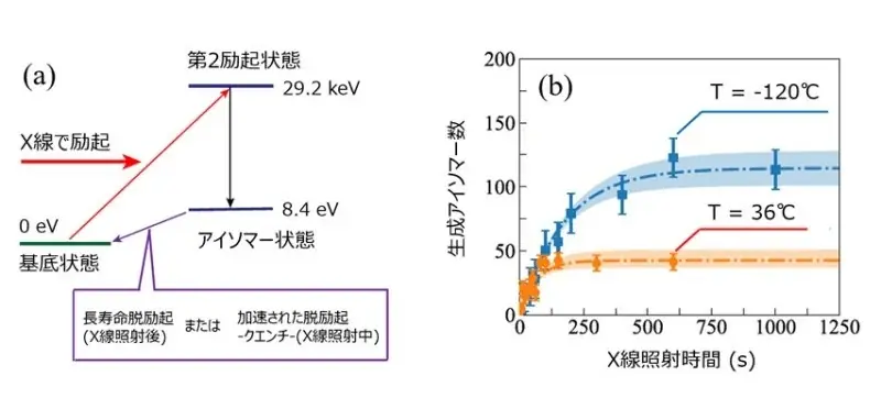 結晶中トリウム229原子核アイソマーのクエンチ機構の解明に前進～固体原子核時計のリセットは電子が担う？～〔岡山大学, 高輝度光科学研究センター, 京都大学, 理化学研究所, 大阪大学〕 画像 2