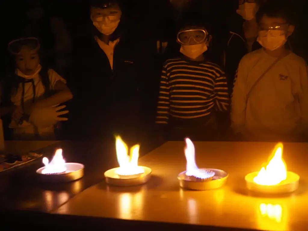 【埼玉・長瀞】科学とアートが融合する2日間！小・中学生向けSTEAM体験キャンプ「不思議のアトリエ」開催決定 画像 3