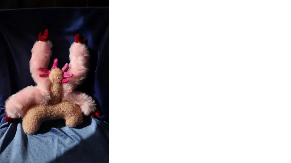 「SHIBUYA CHOCOLATE QUEST」や「オトナカワイイ！ホラグチカヨのジブンバレンタインin ヒカリエ」などのイベント開催！ 画像 8