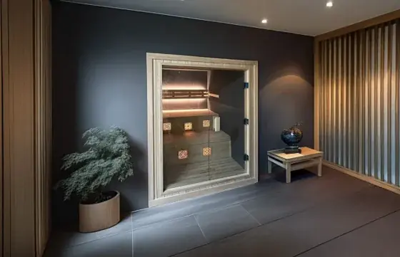 MySauna、箱型サウナ向け・珪藻土左官塗装オプション登場