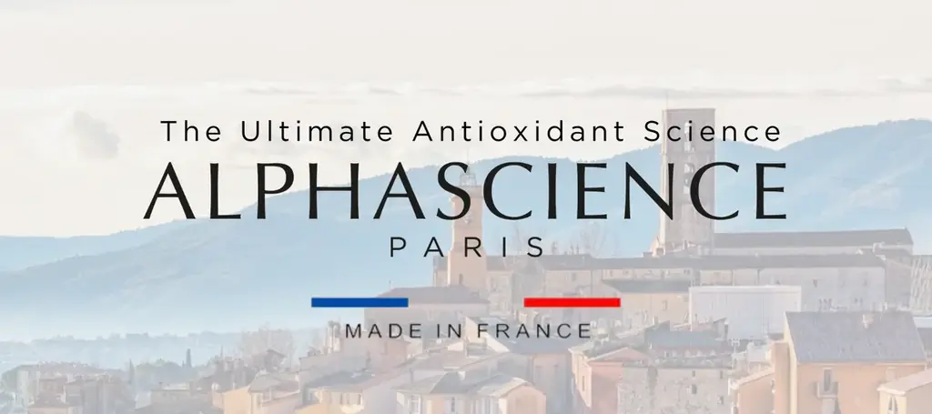 日本で本格始動