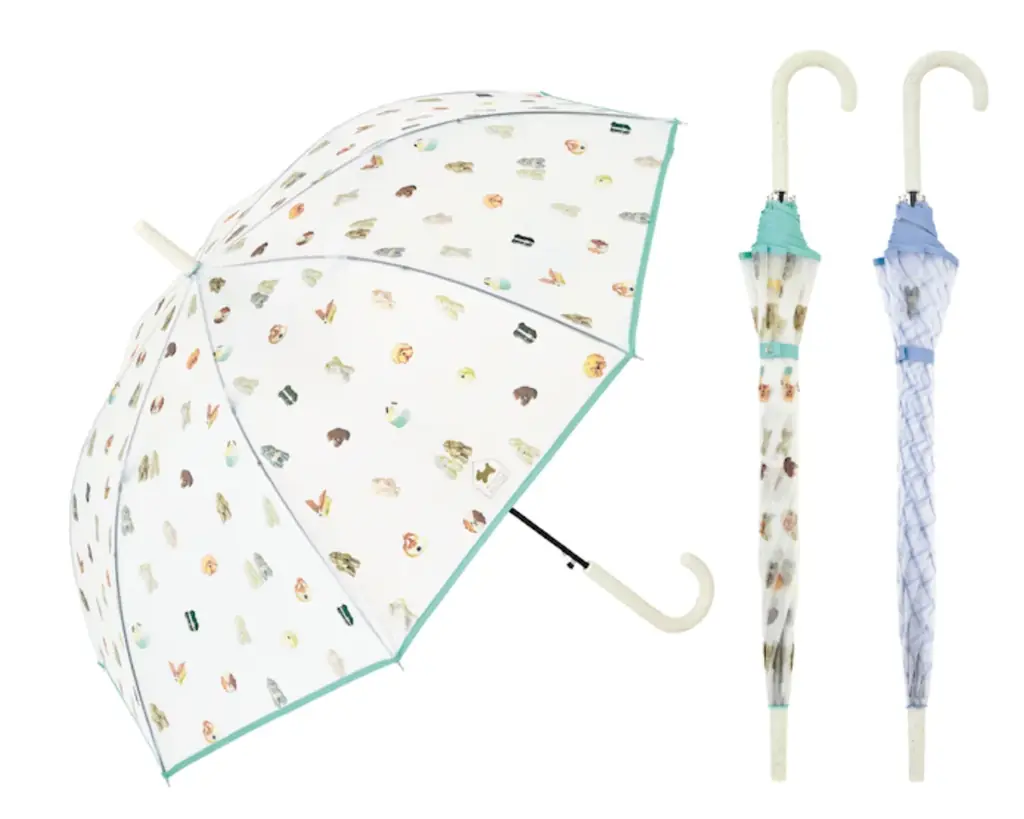 Maison terrier × because Interview Volume 2 画像 4