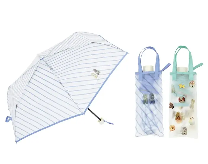 Maison terrier × because Interview Volume 2 画像 5