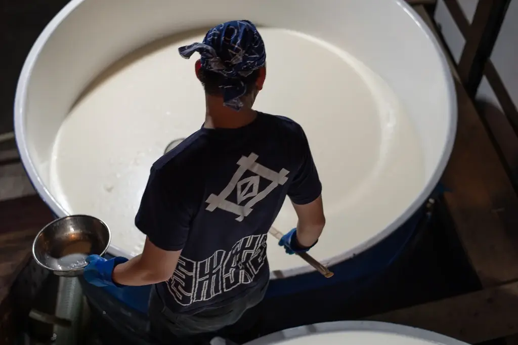 富山と神戸の港町を食でつなぐ ｜ 富山を代表する蔵元『満寿泉・桝田酒造店』×神戸港を一望するイタリアンレストラン「OCEAN PLACE」のコラボディナーを2月28日(土)に開催 画像 6