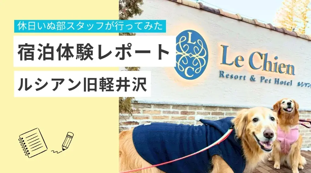 【休日いぬ部×ルシアン旧軽井沢 特別企画】宿泊体験レポート公開記念！新緑のベストシーズンにも泊まれる無料宿泊キャンペーンを開催 画像 2