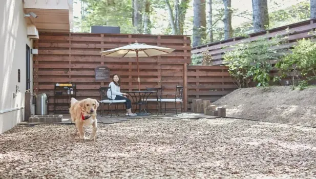 【休日いぬ部×ルシアン旧軽井沢 特別企画】宿泊体験レポート公開記念！新緑のベストシーズンにも泊まれる無料宿泊キャンペーンを開催 画像 4