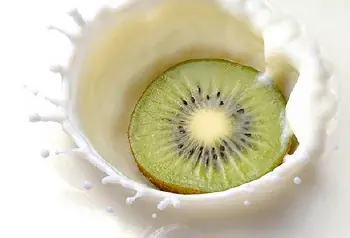 【2·3月限定】18種類の出来立てジェラートが食べられる焼肉店【プレミアムカルビ】 画像 6