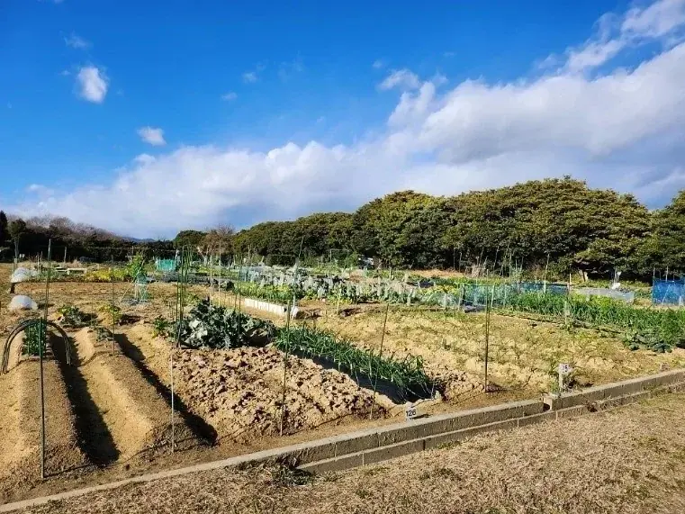 「好きな野菜を作って収穫してみたい」が叶う！豊橋市で市民ふれあい農園を貸し出し 画像 2