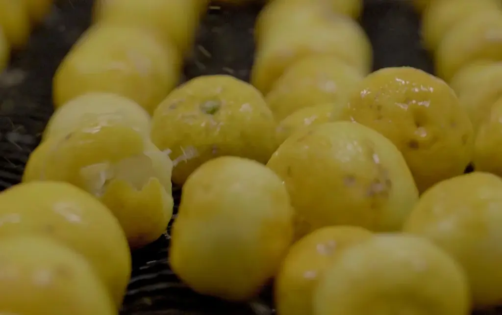 MARKS&WEB（マークスアンドウェブ）、徳島県の佐那河内村から届いた和柑橘の香り 数量限定「ユズ/イヨカン」1月29日(木)発売 画像 2