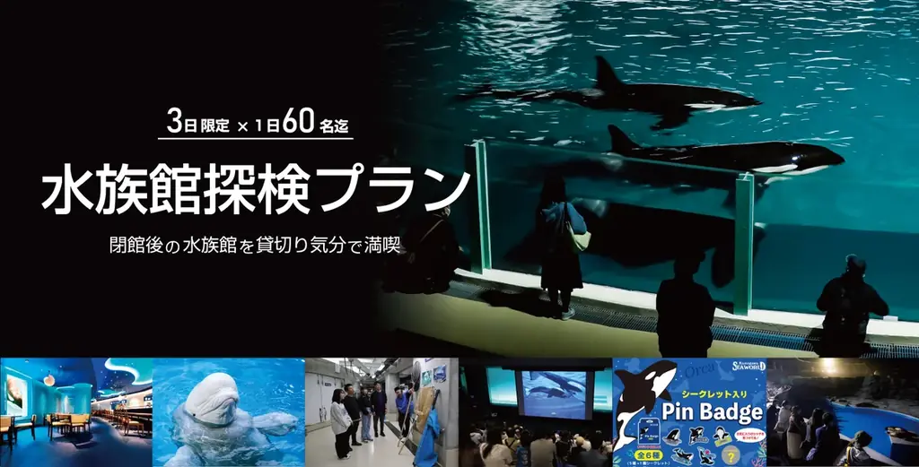 水族館探検プラン