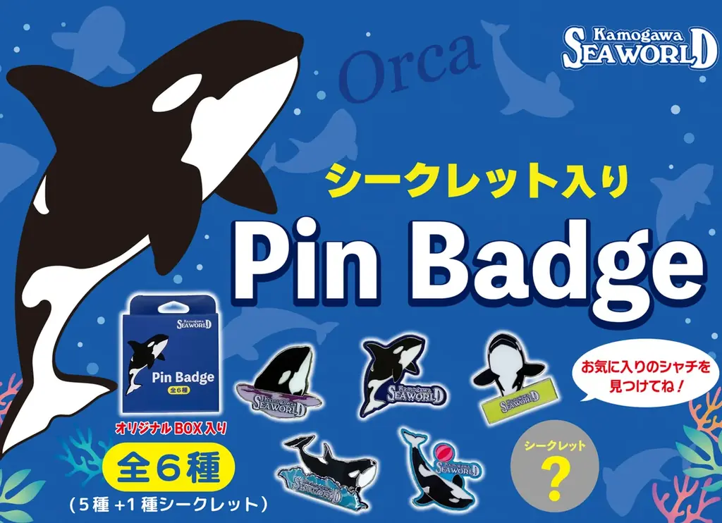 【鴨川シーワールド】閉館後の水族館を貸切り気分で満喫するご褒美プラン！1日60名限定「水族館探検プラン」開催 画像 17