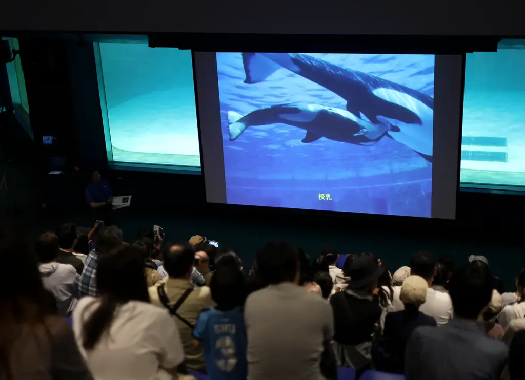 【鴨川シーワールド】閉館後の水族館を貸切り気分で満喫するご褒美プラン！1日60名限定「水族館探検プラン」開催 画像 2