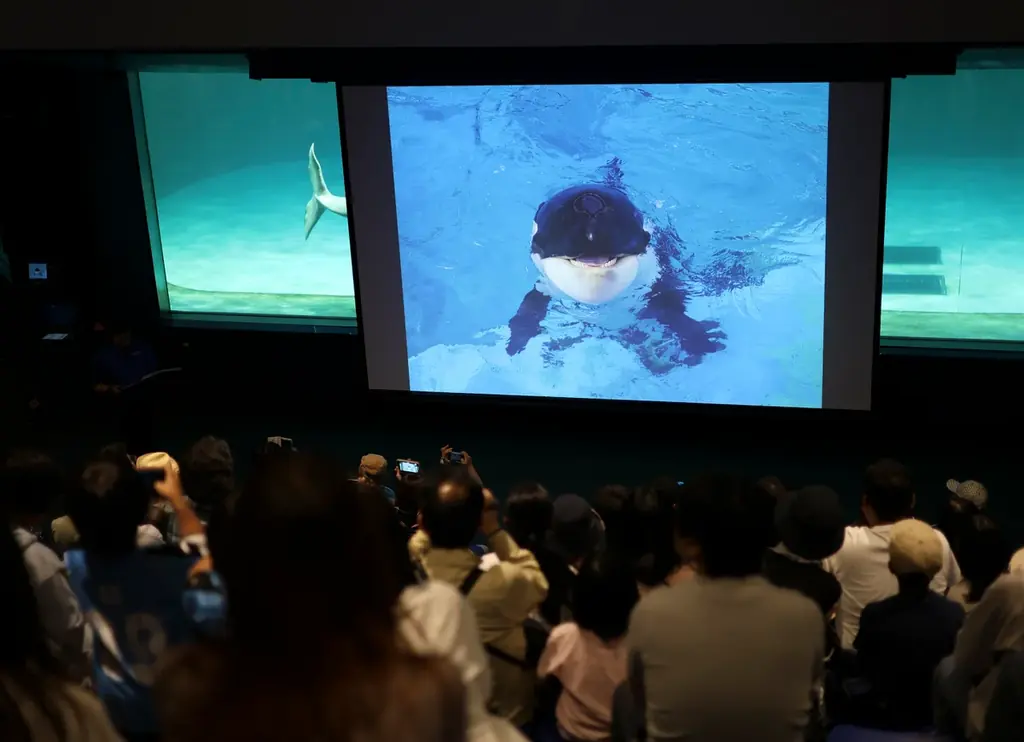 【鴨川シーワールド】閉館後の水族館を貸切り気分で満喫するご褒美プラン！1日60名限定「水族館探検プラン」開催 画像 3