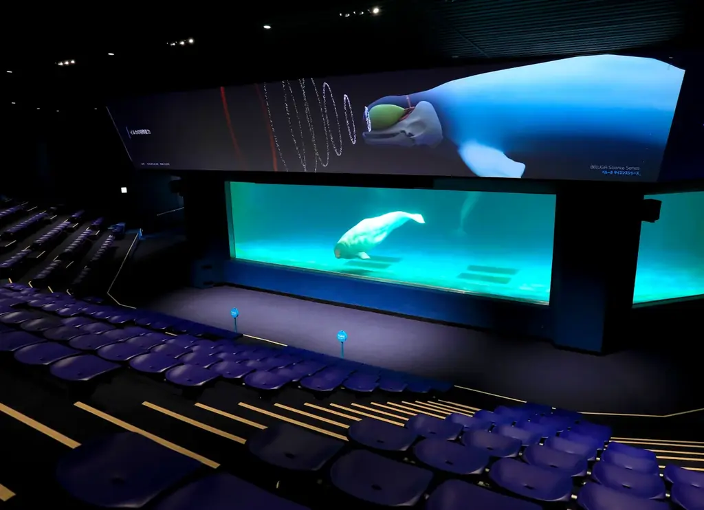 【鴨川シーワールド】閉館後の水族館を貸切り気分で満喫するご褒美プラン！1日60名限定「水族館探検プラン」開催 画像 4