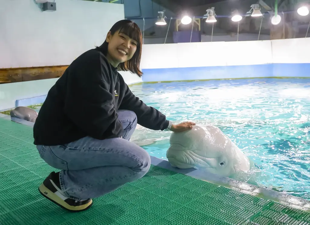 【鴨川シーワールド】閉館後の水族館を貸切り気分で満喫するご褒美プラン！1日60名限定「水族館探検プラン」開催 画像 9