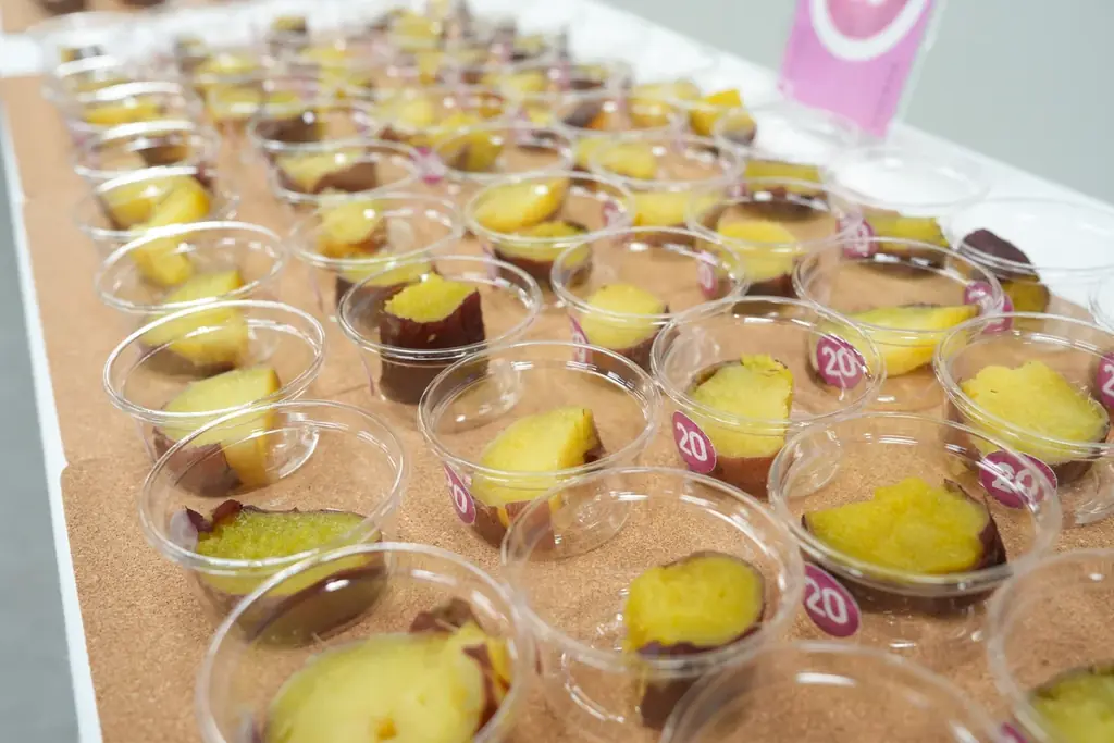 アナタも審査員！焼き芋屋NO.1を狙う18店舗の全焼き芋を一度に食べ比べできる超貴重な体験！年に一度、ここでしかできない『焼き芋食べ比べ審査員』を今年も開催します！ 画像 17