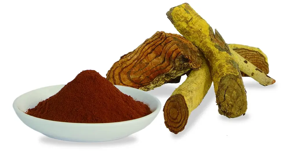 2月25日から27日に開催される「健康博覧会2026」に出展 画像 3