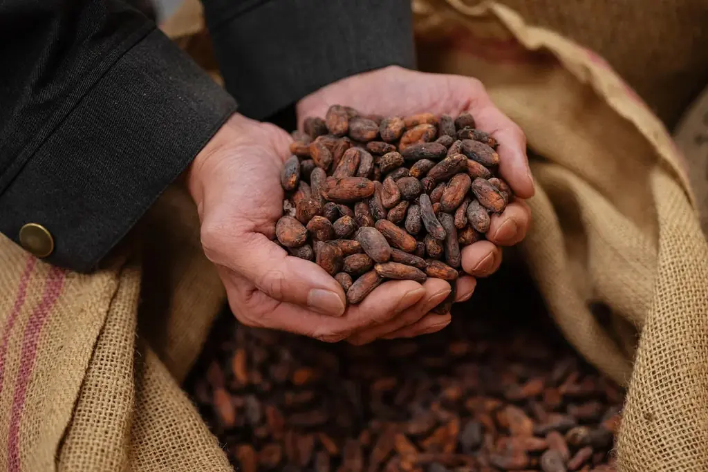 Minimalのガーナ産カカオを使用したチョコレートフレーバーアイスをyumrichが発売決定 画像 2