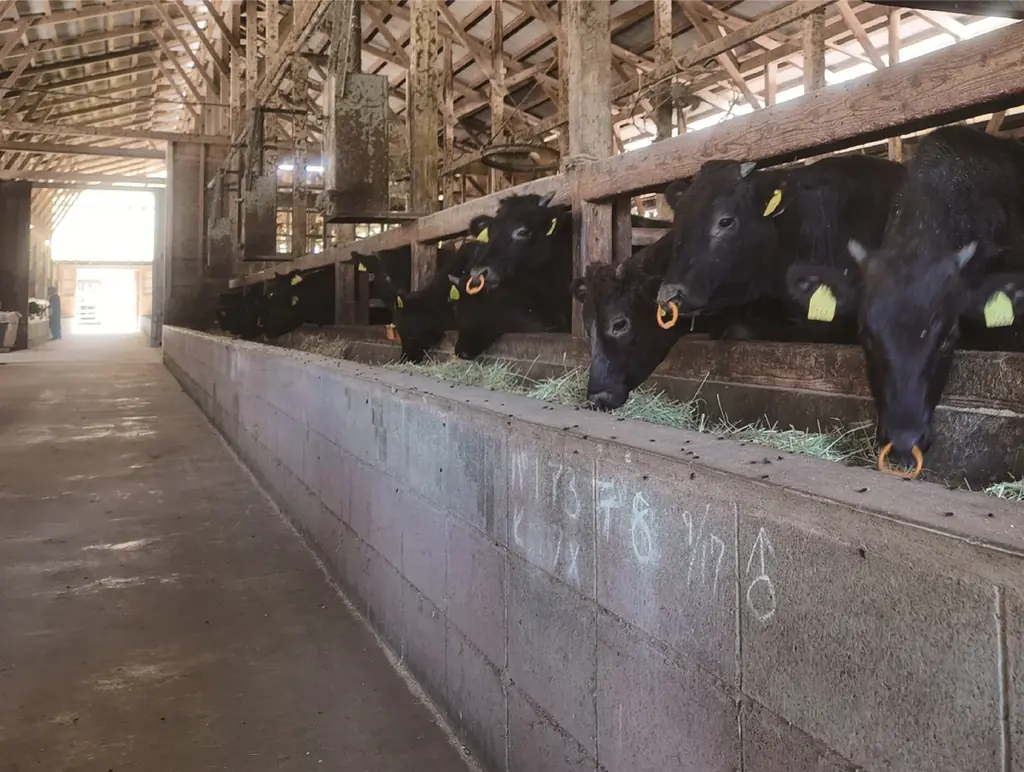 【2月1日～3月10日】シェフが長崎で選び抜いた“本当に美味しい”を味わう「長崎フェア」開催 画像 4