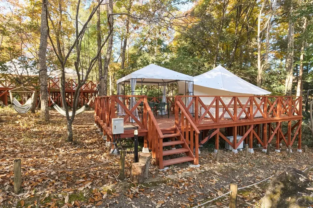 タイパ・コスパ抜群の卒業旅行を日本初“泊まれる植物園で！夜のライトアップとブランド苺を楽しめる学生応援プラン予約開始 画像 10