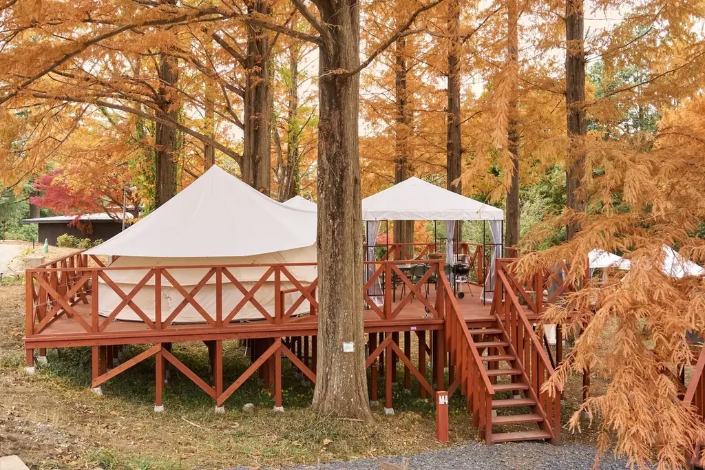 タイパ・コスパ抜群の卒業旅行を日本初“泊まれる植物園で！夜のライトアップとブランド苺を楽しめる学生応援プラン予約開始 画像 11