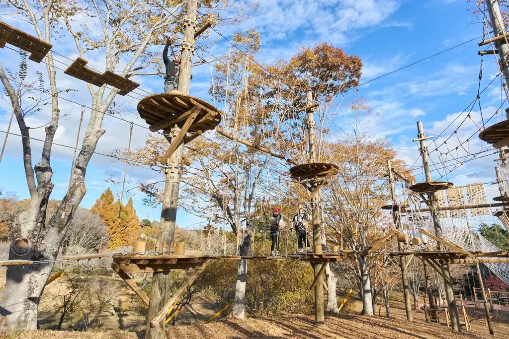 タイパ・コスパ抜群の卒業旅行を日本初“泊まれる植物園で！夜のライトアップとブランド苺を楽しめる学生応援プラン予約開始 画像 19