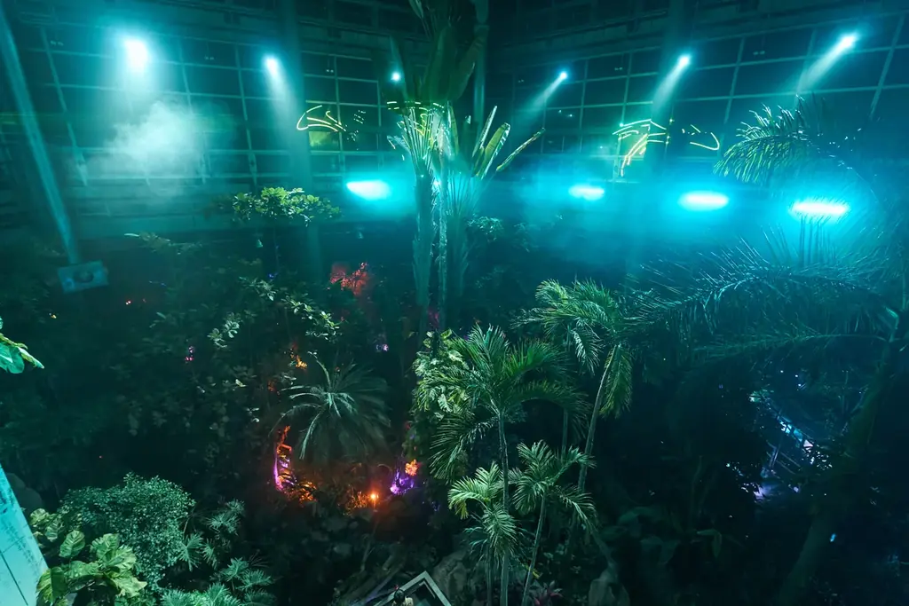 タイパ・コスパ抜群の卒業旅行を日本初“泊まれる植物園で！夜のライトアップとブランド苺を楽しめる学生応援プラン予約開始 画像 2