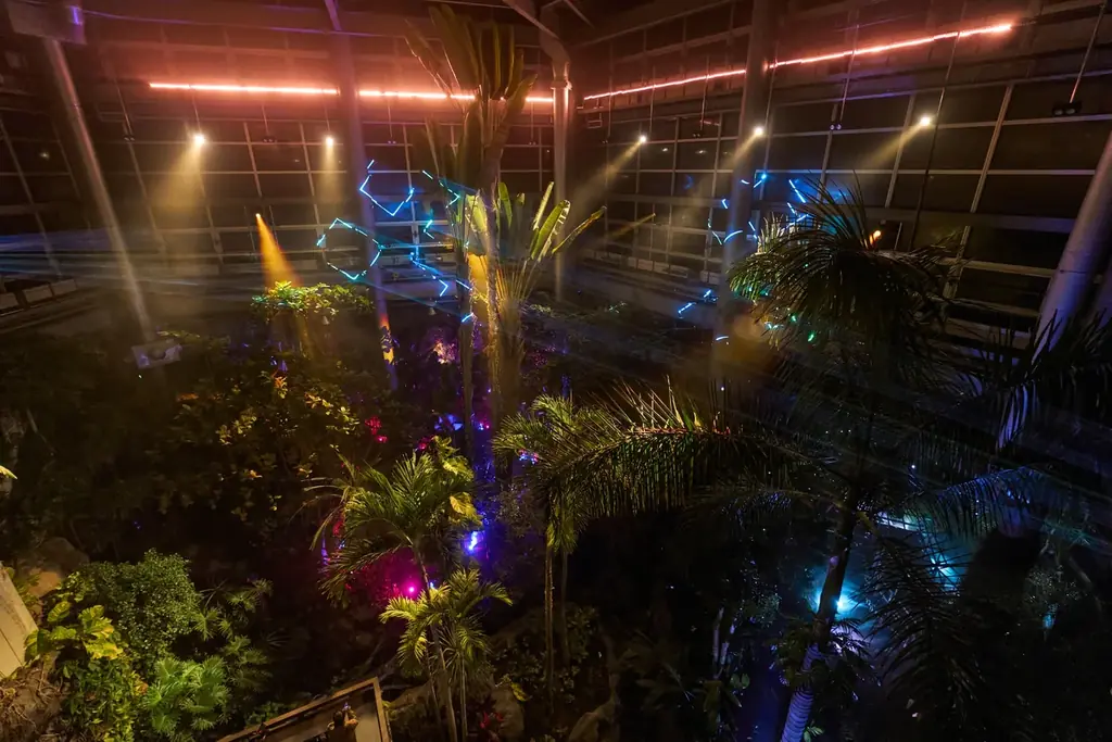 タイパ・コスパ抜群の卒業旅行を日本初“泊まれる植物園で！夜のライトアップとブランド苺を楽しめる学生応援プラン予約開始 画像 21