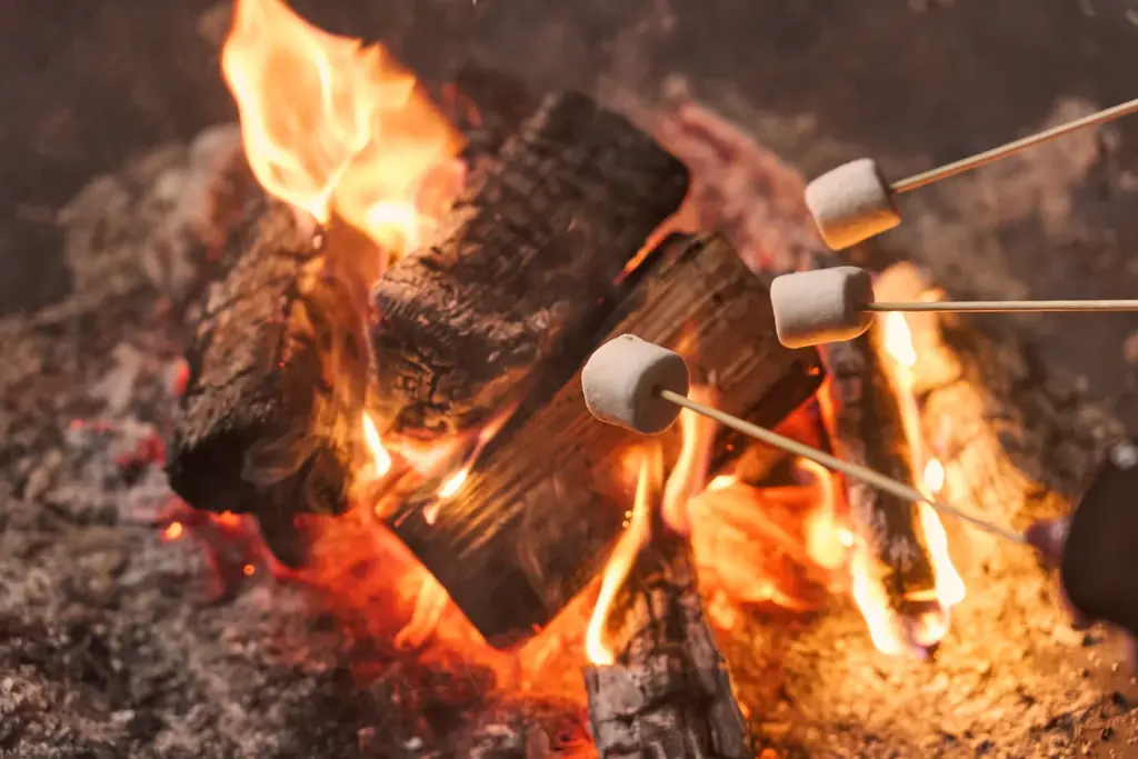 タイパ・コスパ抜群の卒業旅行を日本初“泊まれる植物園で！夜のライトアップとブランド苺を楽しめる学生応援プラン予約開始 画像 6