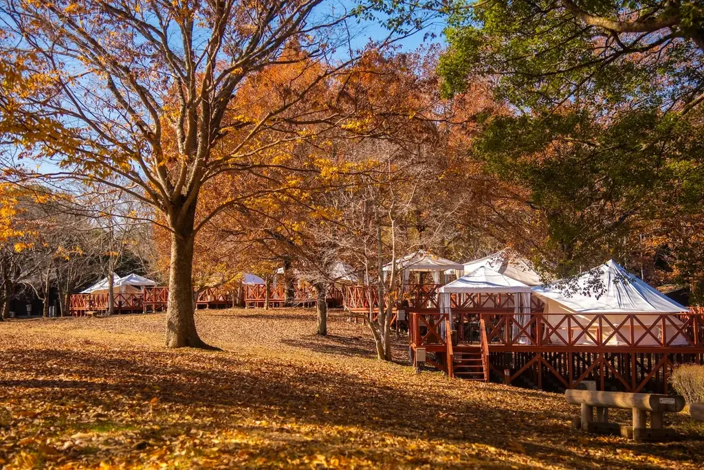 タイパ・コスパ抜群の卒業旅行を日本初“泊まれる植物園で！夜のライトアップとブランド苺を楽しめる学生応援プラン予約開始 画像 9