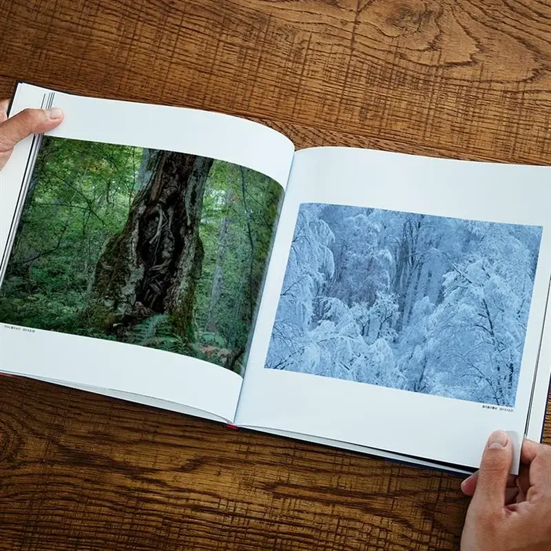 水と森が紡いだ原生の記憶をたどる岩木登氏の写真集“南八甲田”を発売 画像 2