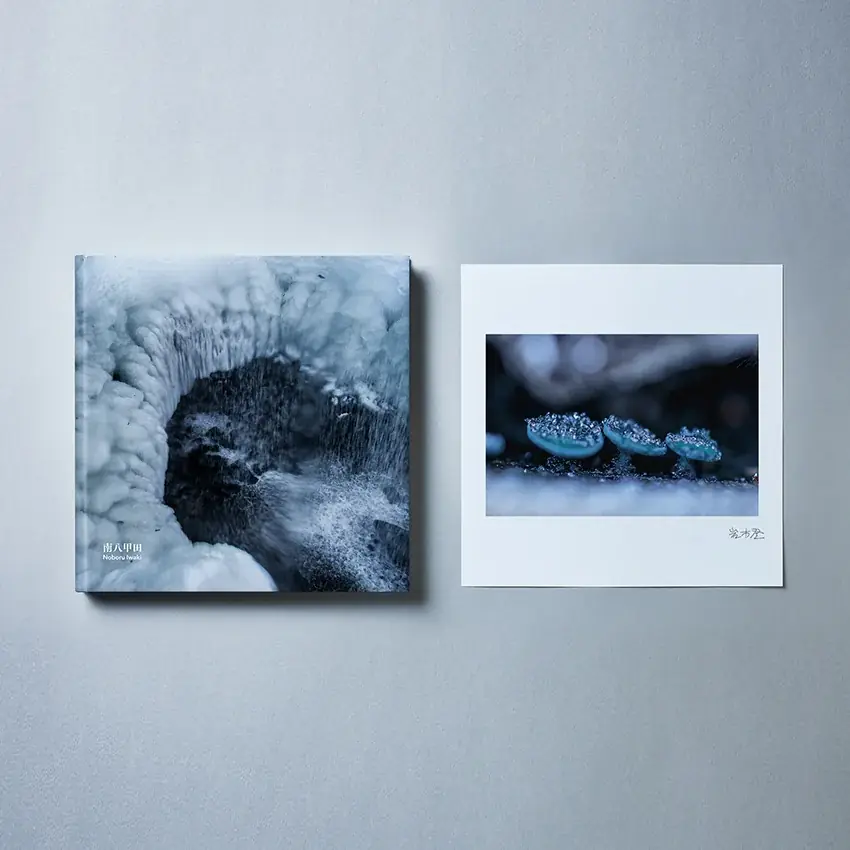 水と森が紡いだ原生の記憶をたどる岩木登氏の写真集“南八甲田”を発売 画像 3