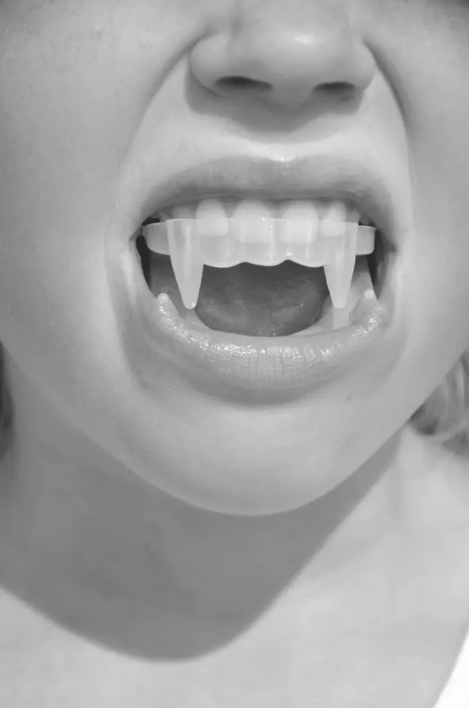 クリスティーナ・ロシュコワ「unbewitched／アンビウィッチド」PARCO MUSEUM TOKYOにて3/20(金)より開催 画像 3