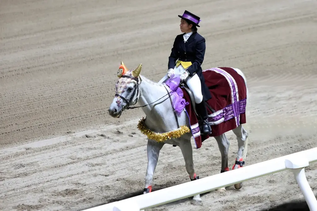 【川崎日航ホテル】川崎競馬場を貸し切る特別な結婚式「かわさきファンファーレウエディング」を1組限定で販売 画像 3