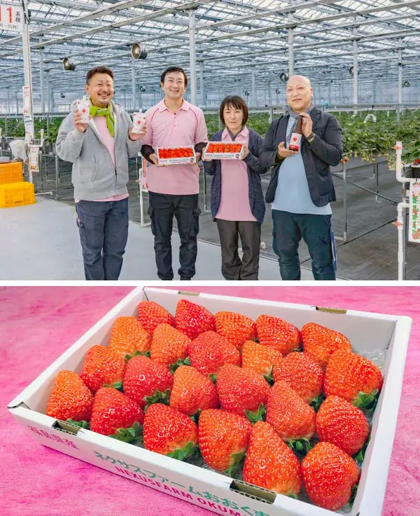 福島県大熊町の特産イチゴの魅力発信「おおくまベリー×メゾンジブレー」オリジナルスイーツ販売 画像 9