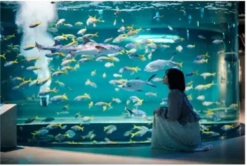 『LOVOT』とAQUARIUM×ART átoaのコラボレーションイベント　「LOVOT×アトア Special Private Night」開催決定！ 画像 3