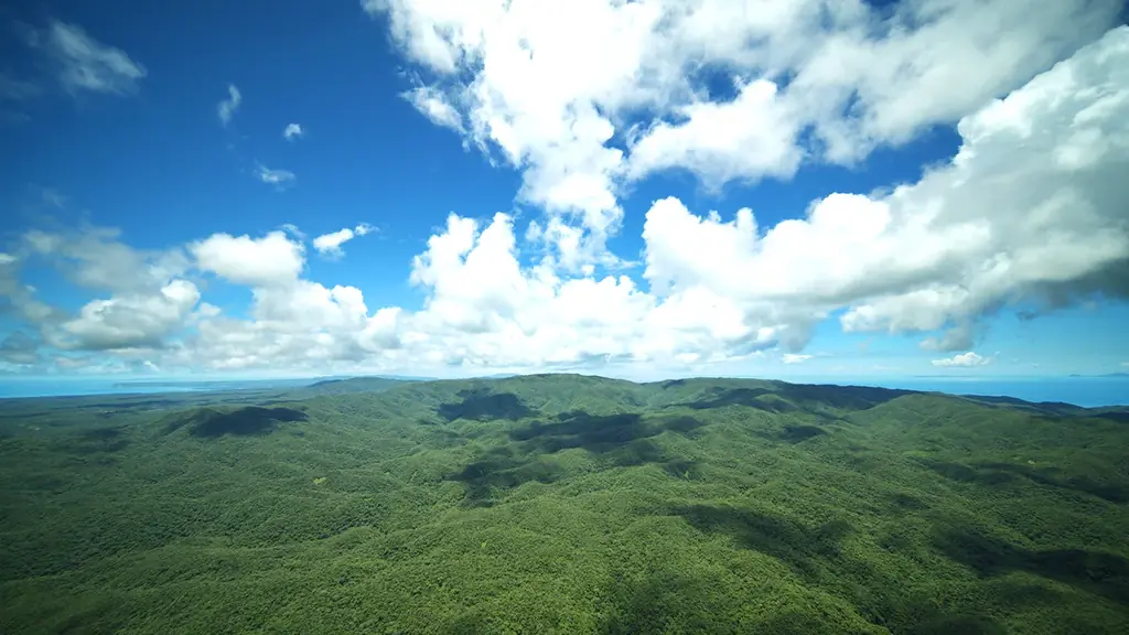 上映終了目前！特別イベント開催決定！『星結いの森-沖縄・国頭村の星空-』2026年2月7日(土)・8日(日)限定開催！ 画像 4