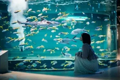 家族型ロボット「LOVOT」× 水族館「アトア」コラボイベントを開催します！ 画像 6