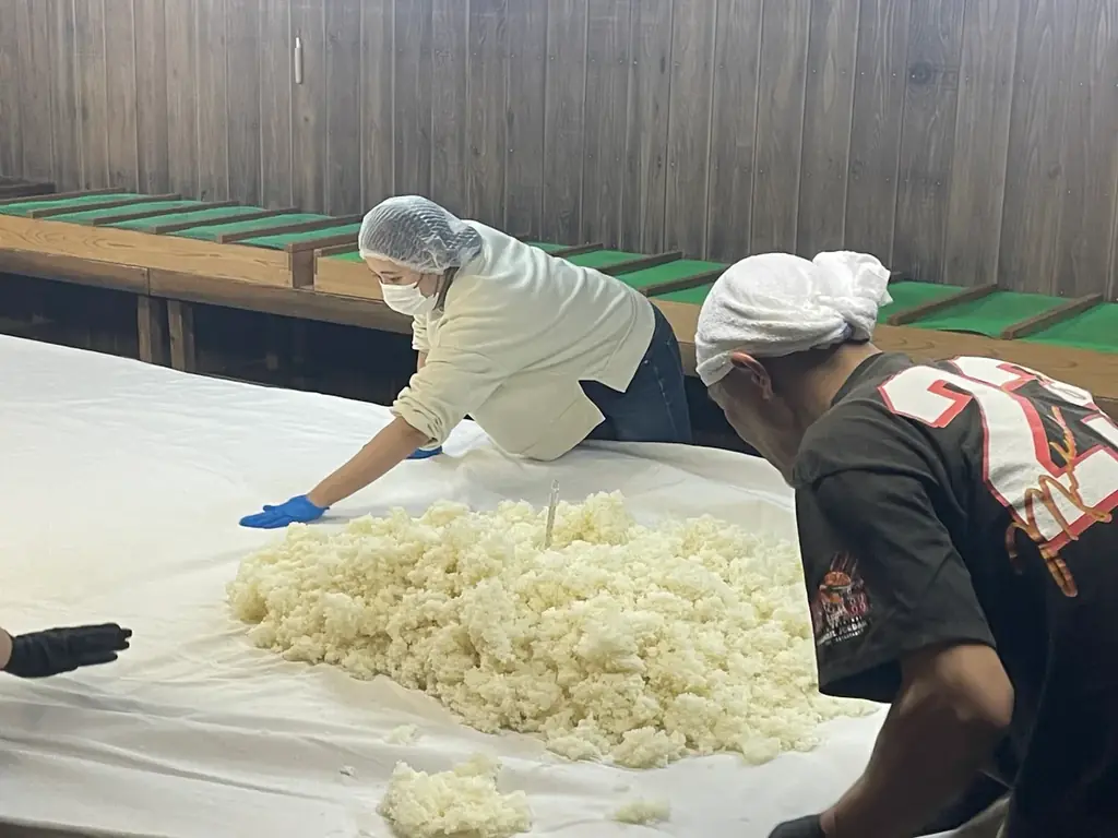 【愛知・渡辺酒造】食米を大吟醸規格40％まで磨く非常識。創業160年の老舗蔵が挑む「透明感（Clarity）」という新評価軸 ― 中日新聞・NHK名古屋も取材、日本酒×現代ガストロノミーの交点へ ― 画像 10