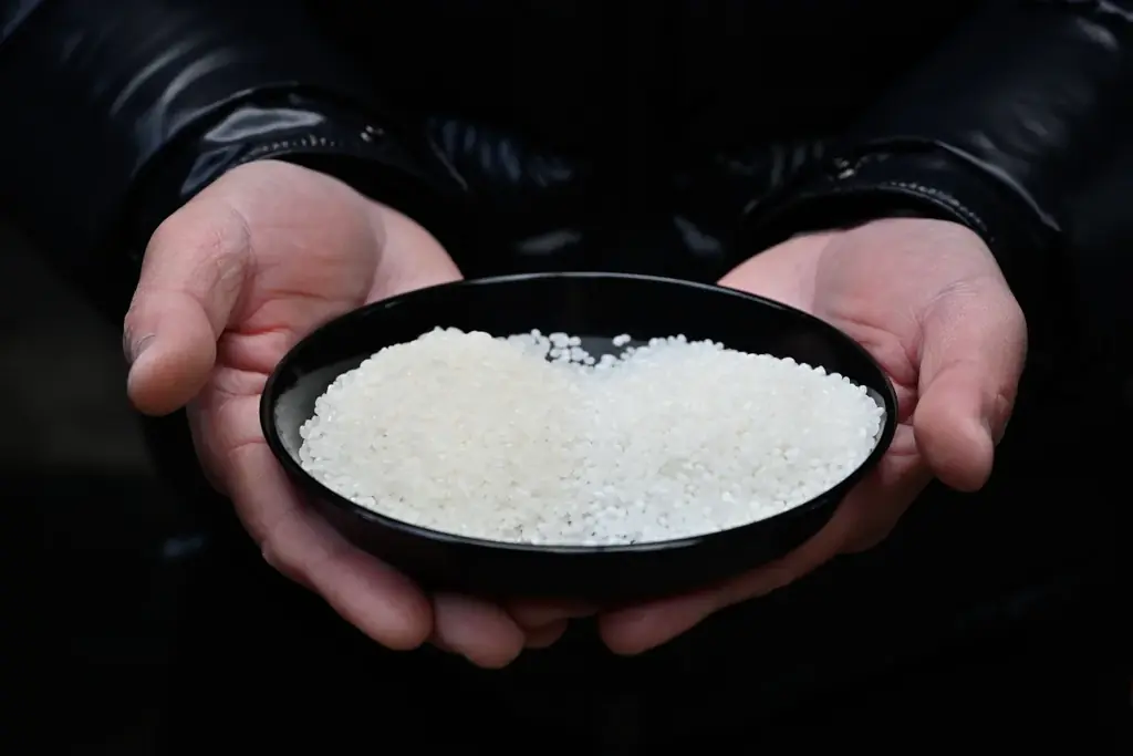 【愛知・渡辺酒造】食米を大吟醸規格40％まで磨く非常識。創業160年の老舗蔵が挑む「透明感（Clarity）」という新評価軸 ― 中日新聞・NHK名古屋も取材、日本酒×現代ガストロノミーの交点へ ― 画像 8