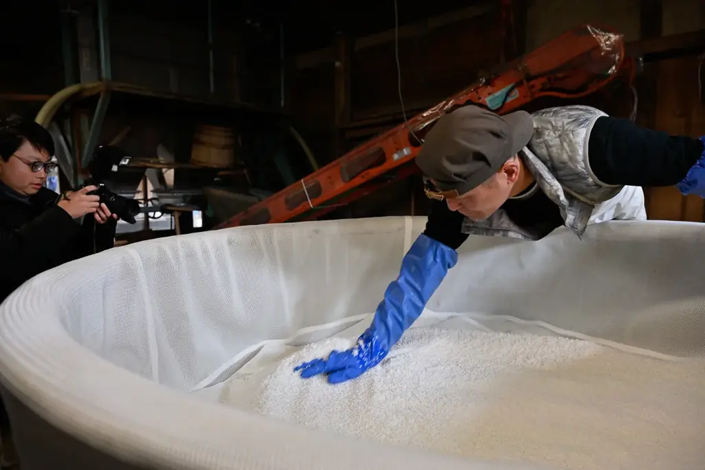 【愛知・渡辺酒造】食米を大吟醸規格40％まで磨く非常識。創業160年の老舗蔵が挑む「透明感（Clarity）」という新評価軸 ― 中日新聞・NHK名古屋も取材、日本酒×現代ガストロノミーの交点へ ― 画像 9