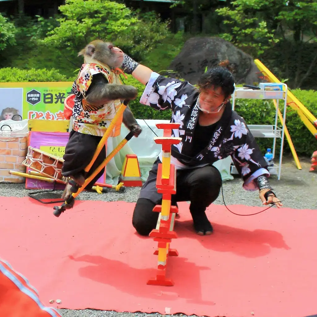 横浜・三溪園「第52回 観梅会」 画像 5